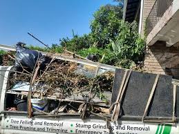 Best Attic Cleanout  in Ransom Canyon, TX